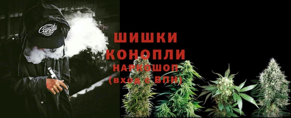 марки lsd Бородино