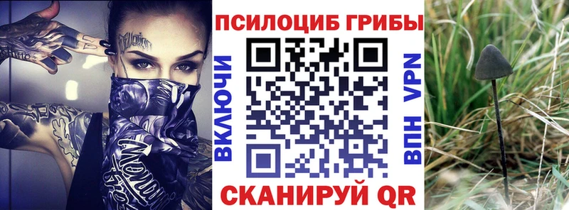 Псилоцибиновые грибы MAGIC MUSHROOMS как найти Кувандык